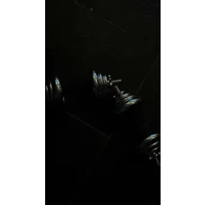 Mancuernas Ajustables 20kg