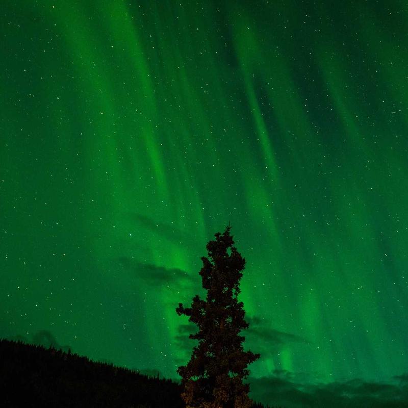 Adidas Ultraboost Light